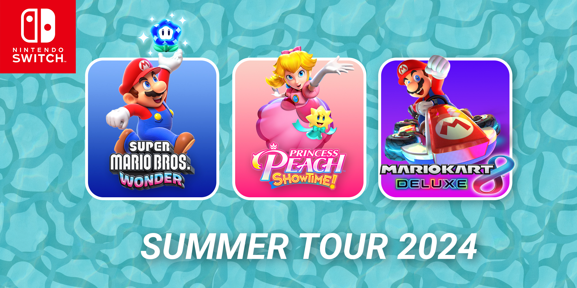 De Nintendo Switch summer tour met Mario en vrienden!