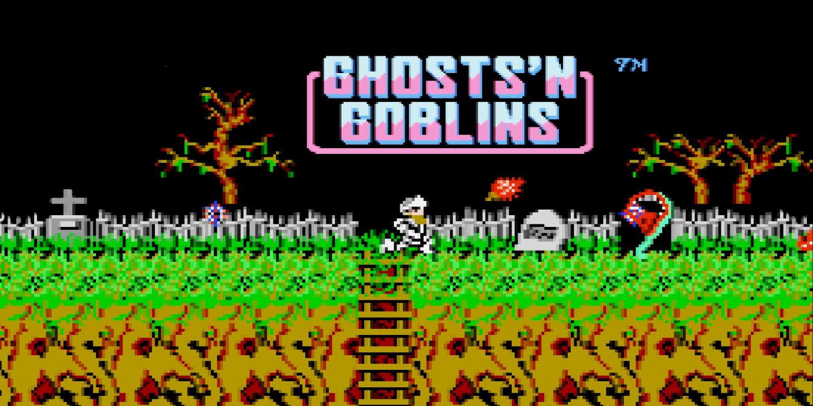 H2x1_NES_GhostNGoblins_image1600w.jpg