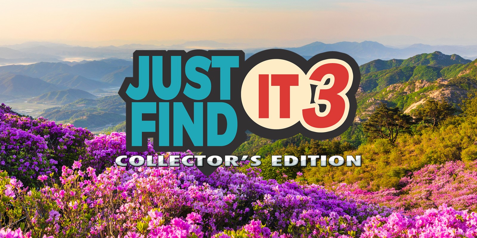 Just Find It 3 Collector's Edition