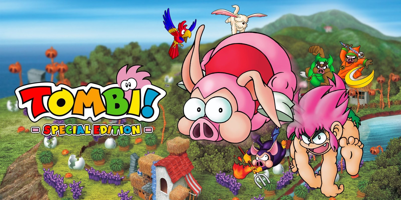 Tombi! Special Edition