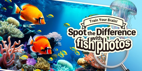 Train Your Brain! Spot the Difference with fish photos switch box art