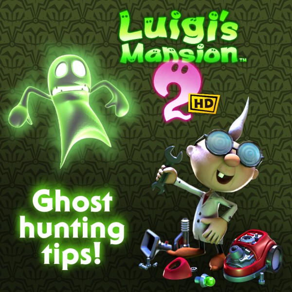Professor E. Gadd’s top 10 tips for ghost hunting success!