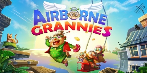 Airborne Grannies switch box art