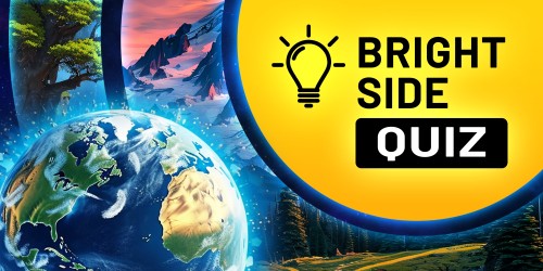 Bright Side: Quiz