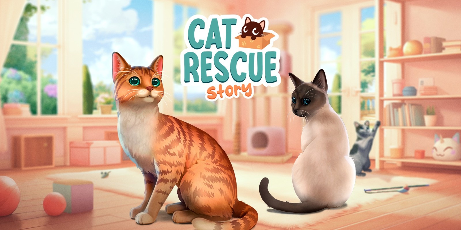 Cat Rescue Story