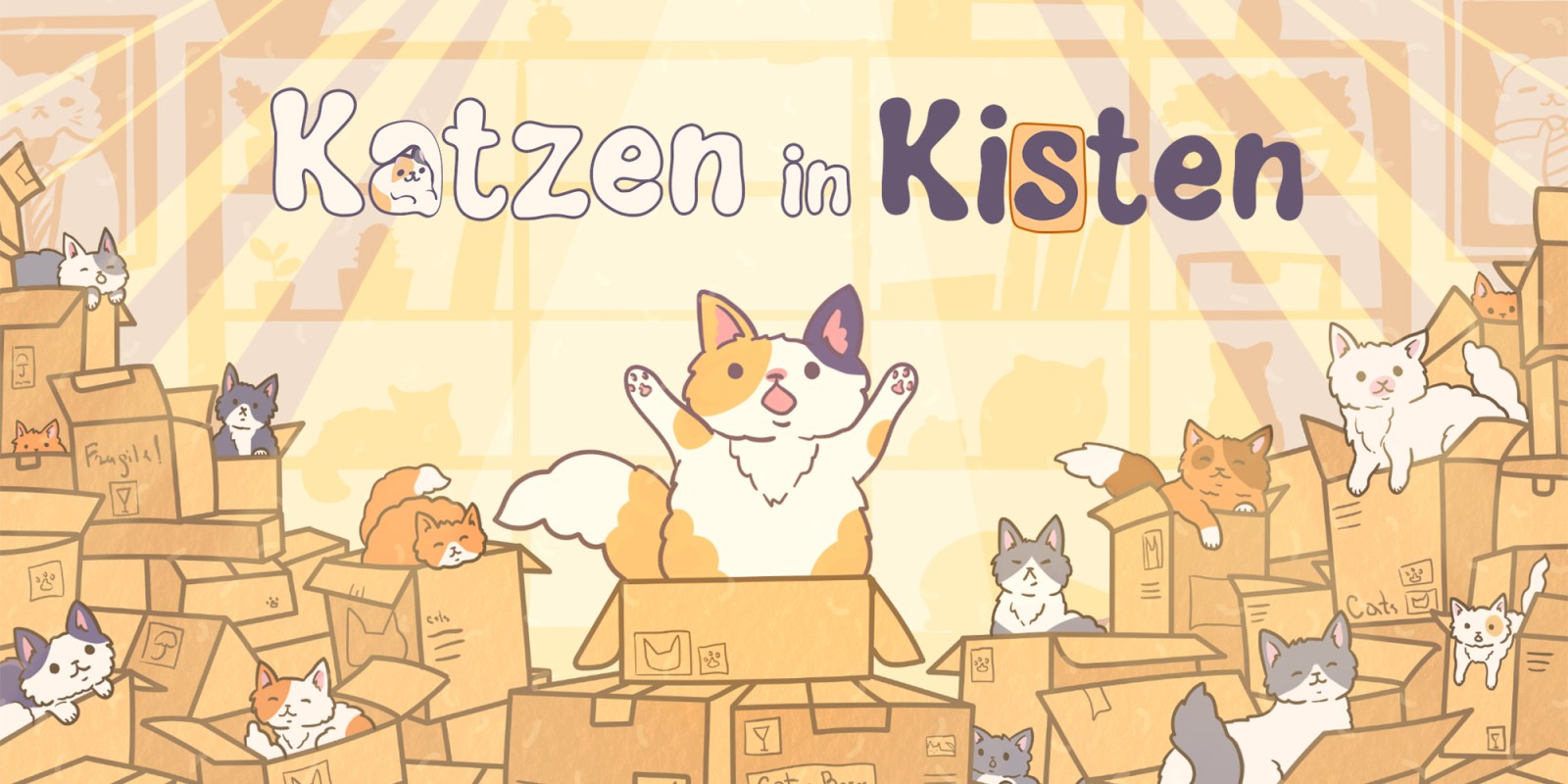 Katzen in Kisten