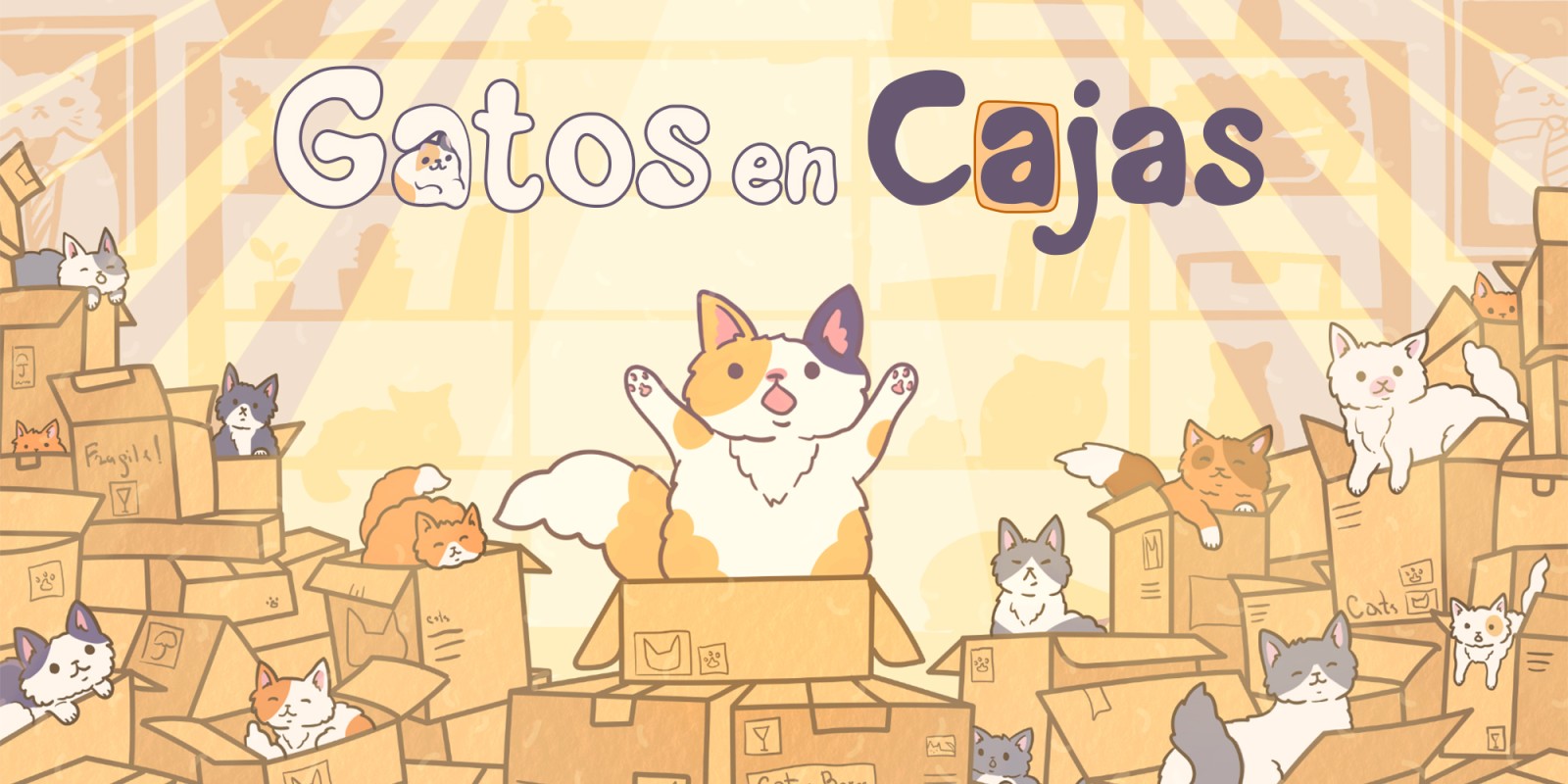 Gatos en Cajas