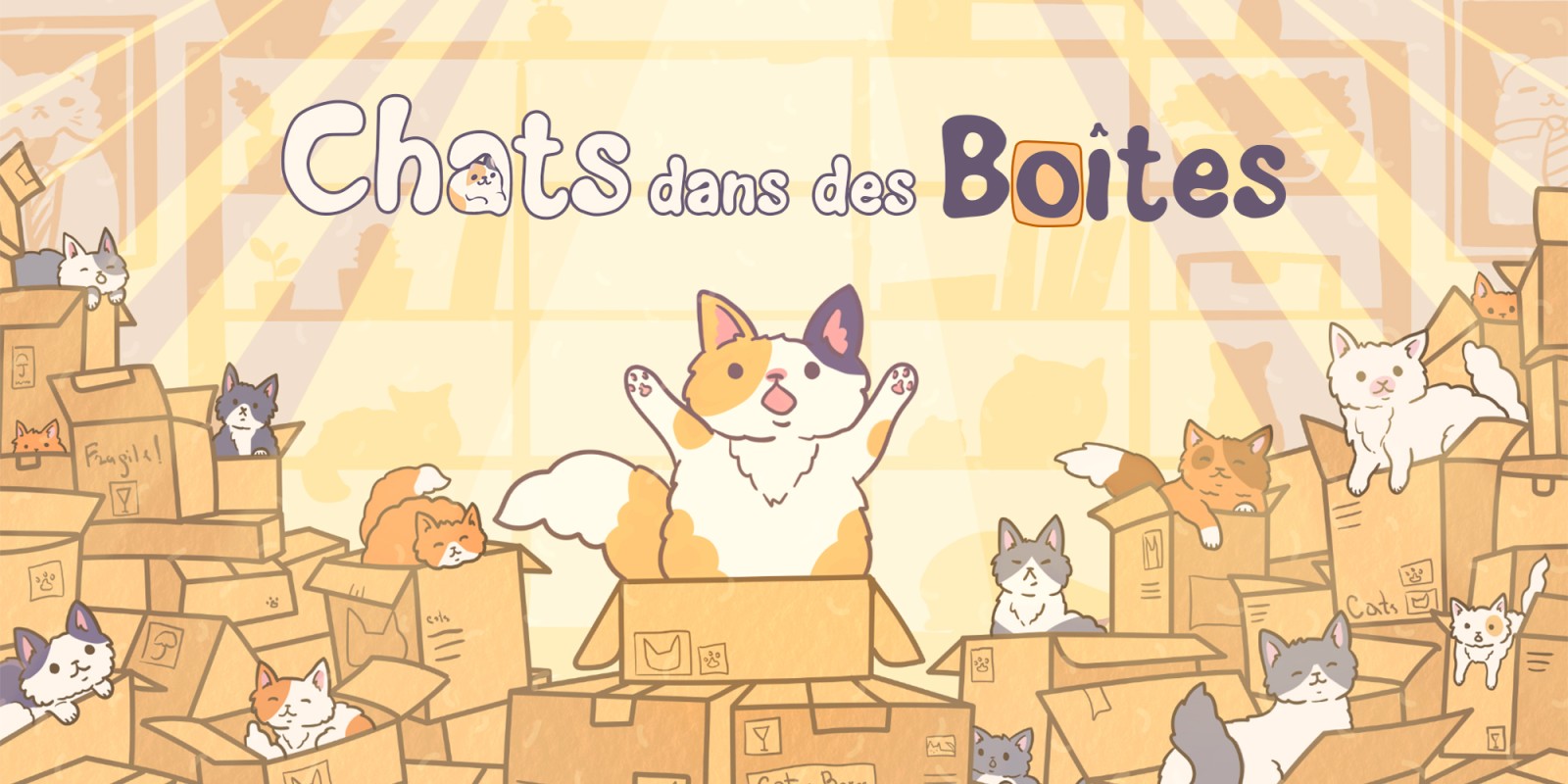 Chats dans des boîtes