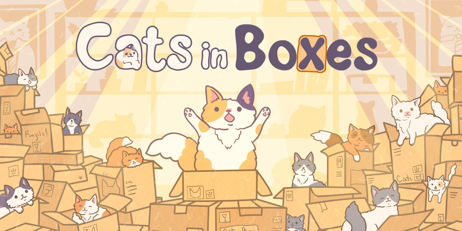 Cats in Boxes