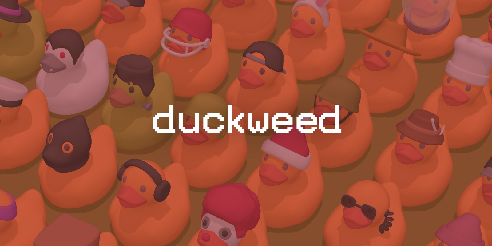 Duckweed