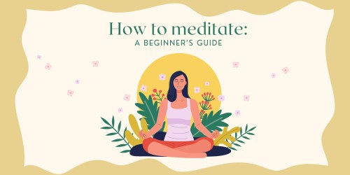 How to meditate: A beginner's guide switch box art