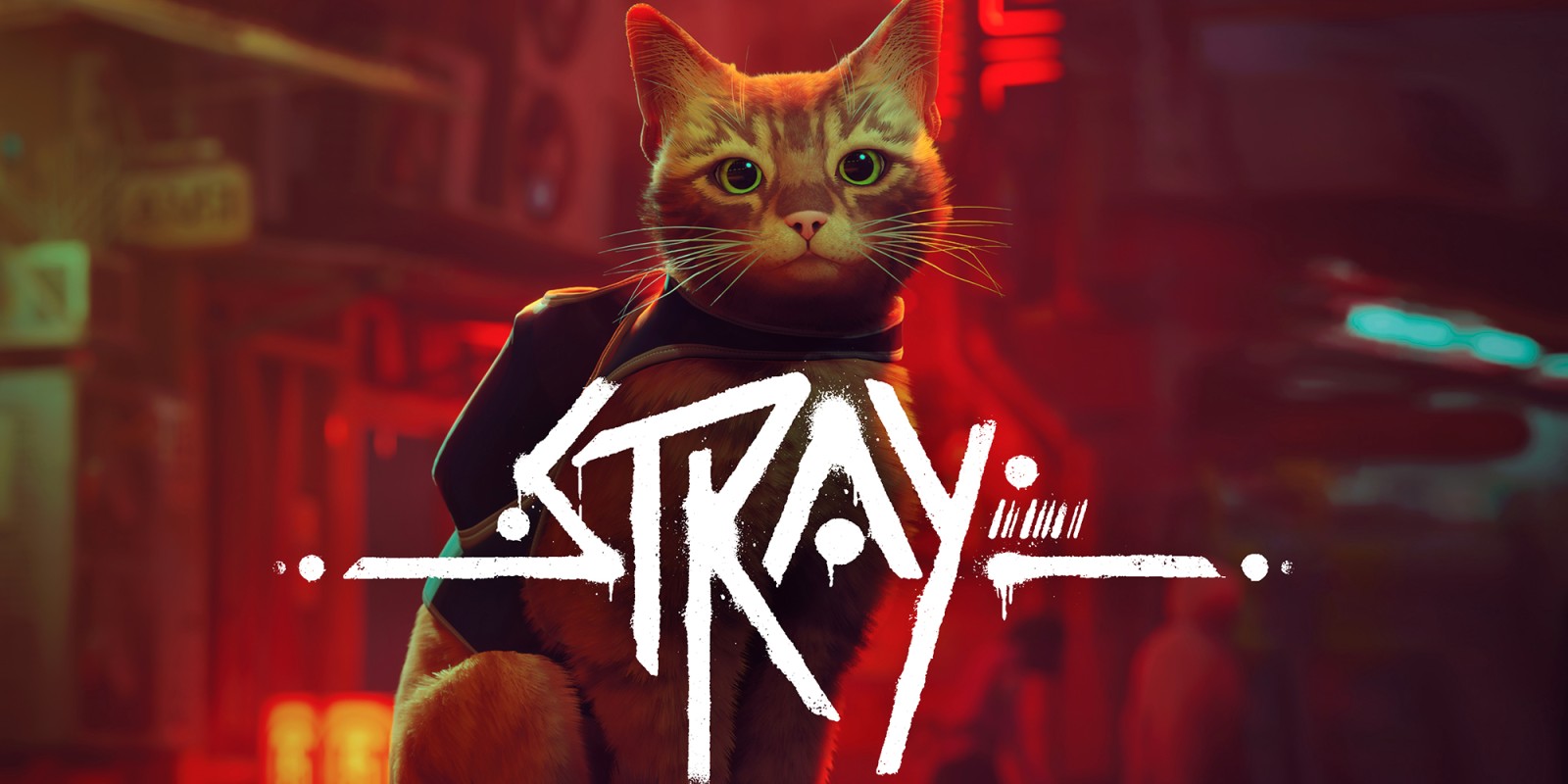 Stray | Jeux Nintendo Switch | Jeux | Nintendo FR