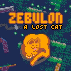 Zebulon: A Lost Cat