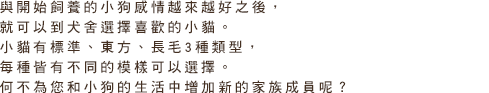 與開始飼養的小狗感情越來越好之後，就可以到犬舍選擇喜歡的小貓。小貓有標準、東方、長毛3種類型，每種皆有不同的模樣可以選擇。何不為您和小狗的生活中增加新的家族成員呢？