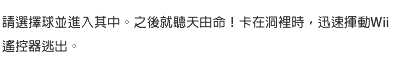 請選擇球並進入其中。之後就聽天由命！卡在洞裡時，迅速揮動Wii遙控器逃出。