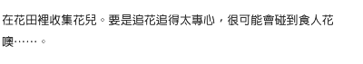 在花田裡收集花兒。要是追花追得太專心，很可能會碰到食人花噢……。