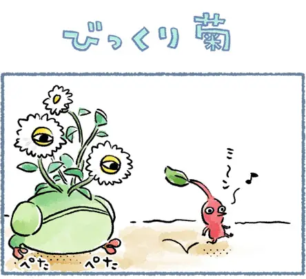 びっくり菊