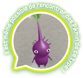 Il est même possible de rencontrer des Pikmin de ce type !