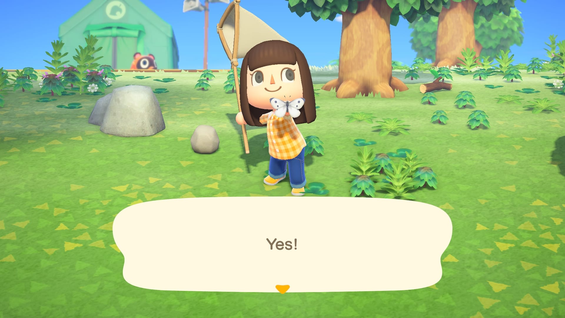 Beginner Basics for Animal Crossing: New Horizons: Your new life