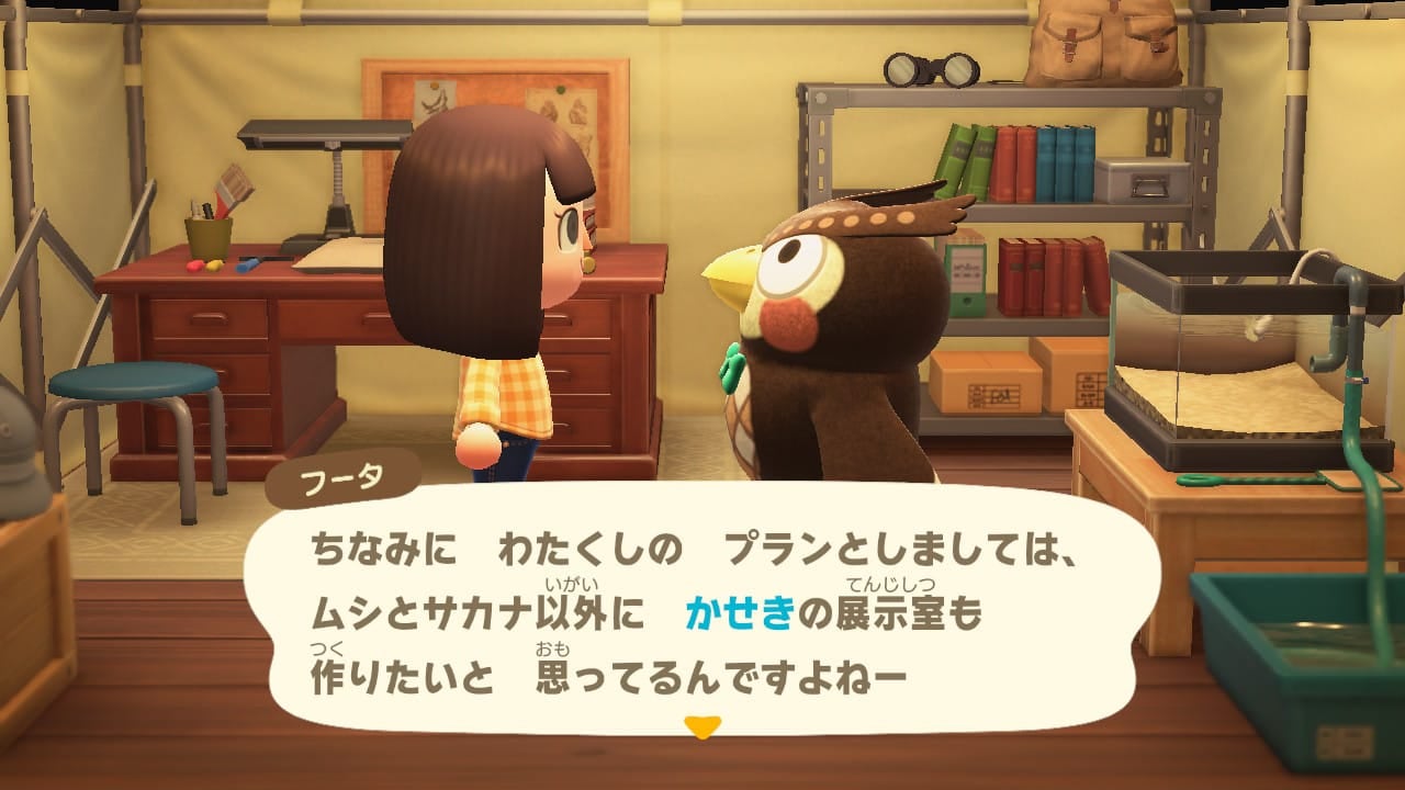 イチからはじめる『あつまれ どうぶつの森』。無人島が立派な街になるまで。 | 任天堂