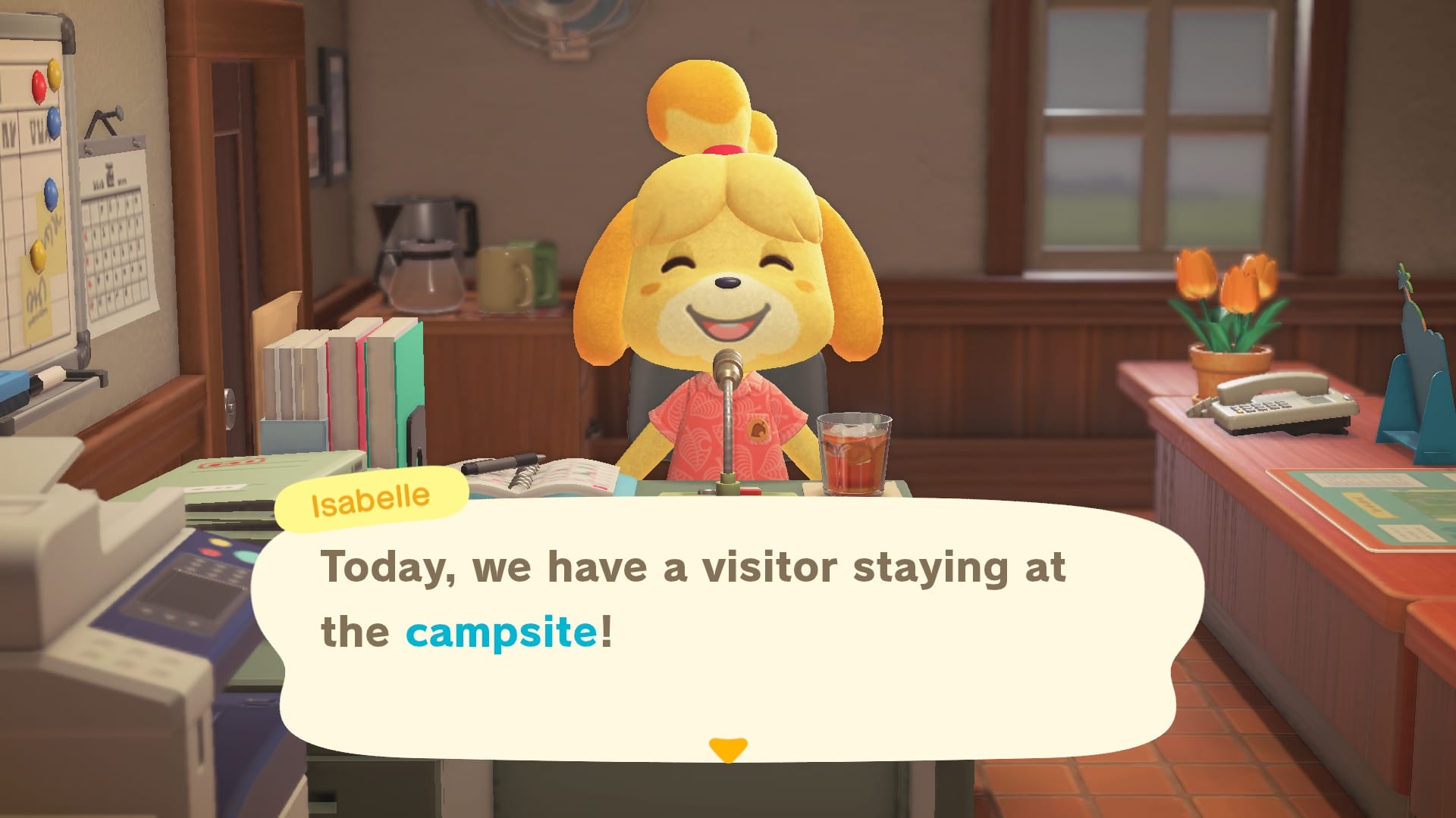 Beginner Basics for Animal Crossing: New Horizons: Growing your