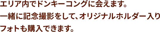 エリア内でドンキーコングに会えます。一緒に記念撮影をして、オリジナルホルダー入りフォトも購入できます。