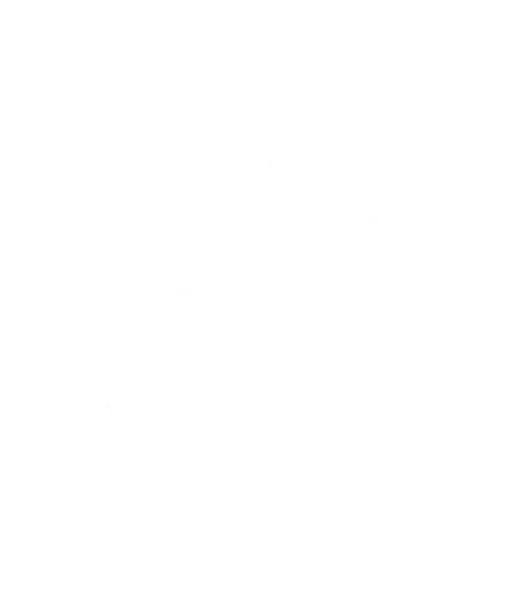 スーパーマリオ・ランド™のその先には、ドンキーコングと仲間たちが暮らすもう一つのエリア「ドンキーコング・カントリー™」が広がっています。そびえたつ「黄金のしんでん」、エリア内を駆け回るトロッコ、そして、さまざまなシカケやヒミツがあなたを待ち受けます。冒険のお供に、パワーアップバンド™もお忘れなく。