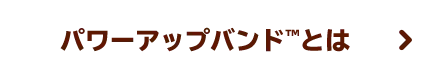 パワーアップバンド™とは