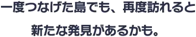 一度つなげた島でも、再度訪れると新たな発見があるかも。