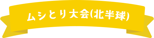 ムシとり大会（北半球）