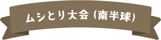 ムシとり大会（南半球）