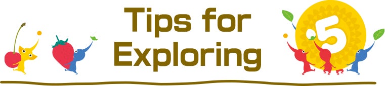 Tips for Exploring