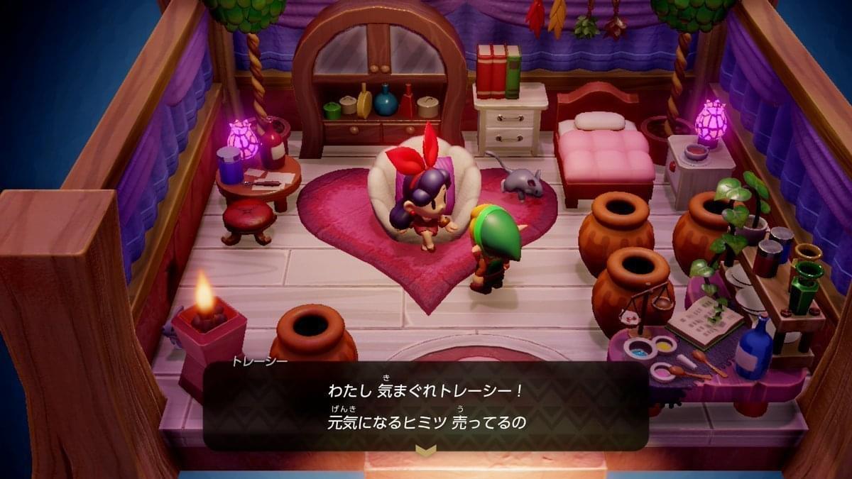 ゼルダの伝説 夢をみる島 | Nintendo Switch | 任天堂
