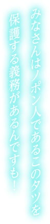 みなさんはノポン人であるこのタツを保護する義務があるんですも！