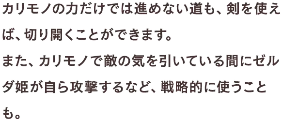 カリモノの力だけでは進めない道も、剣を使えば、切り開くことができます。また、カリモノで敵の気を引いている間にゼルダ姫が自ら攻撃するなど、戦略的に使うことも。