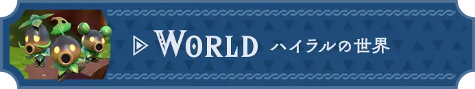 WORLD ハイラルの世界