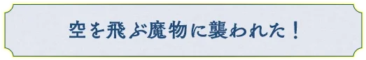 空を飛ぶ魔物に襲われた！