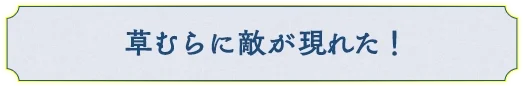 草むらに敵が現れた！