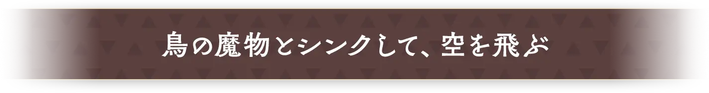 鳥の魔物とシンクして、空を飛ぶ