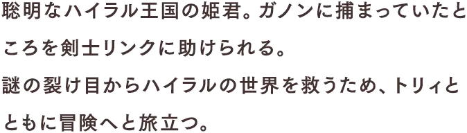 聡明なハイラル王国の姫君。ガノンに捕まっていたところを剣士のリンクに助けられる。謎の裂け目からハイラルの世界を救うため、トリィとともに冒険へと旅立つ。