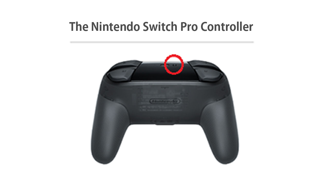 Schéma de la manette Nintendo Switch Pro, Assistance