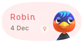 Robin 4 December