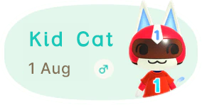 Kid Cat 1 August