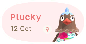 Plucky 12 October