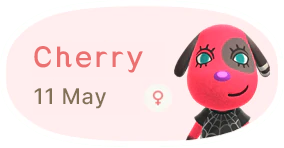 Cherry 11 May