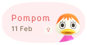 Pompom 11 February