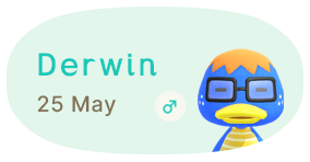 Derwin 25 May