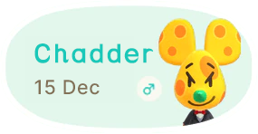 Chadder 15 December