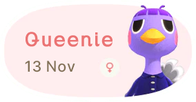 Queenie 13 November