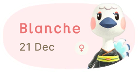 Blanche 21 December